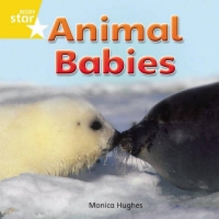 Книга Rigby Star Independent Reception Yellow Non Fiction Animal Babies Single 