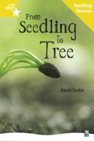 Kniha Rigby Star Non-fiction Guided Reading Yellow Level: From Seedling to Tree Teaching Version 