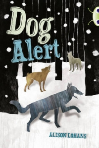 Könyv Bug Club Independent Fiction Year 4 Grey A Dog Alert Alison Lohans
