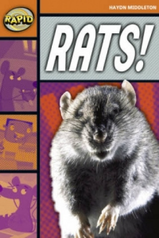 Kniha Rapid Reading: Rats! (Stage 4, Level 4B) Haydn Middleton