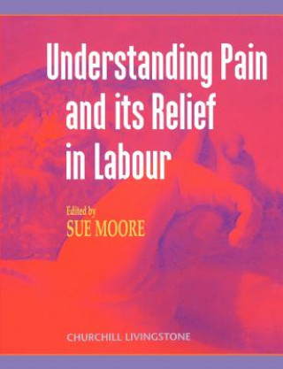 Βιβλίο Understanding Pain and Its Relief in Labour Susan Moore