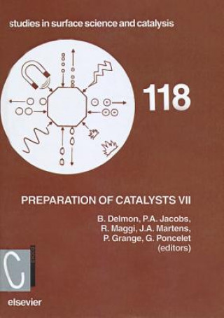 Book Preparation of Catalysts VII R. Maggi