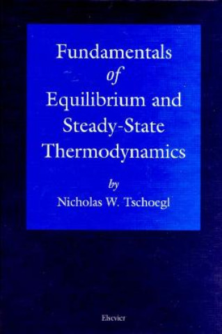 Kniha Fundamentals of Equilibrium and Steady-State Thermodynamics N.W. Tschoegl