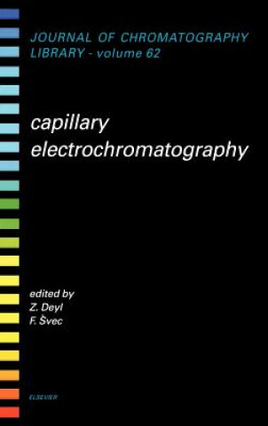 Könyv Capillary Electrochromatography F. Svec