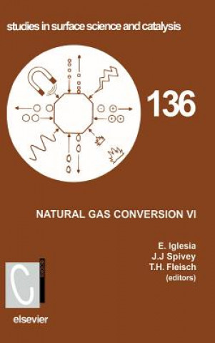 Kniha Natural Gas Conversion VI T. H. Fleisch