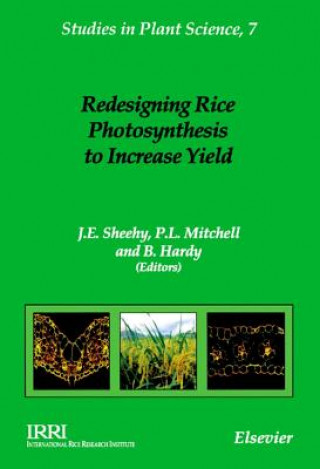 Kniha Redesigning Rice Photosynthesis to Increase Yield P.L Mitchell