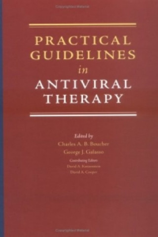 Kniha Practical Guidelines in Antiviral Therapy G. J. Galasso