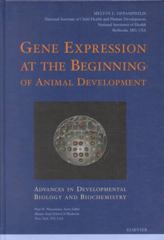Carte Gene Expression at the Beginning of Animal Development M. L. Depamphilis