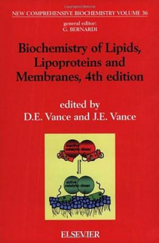 Könyv Biochemistry of Lipids, Lipoproteins and Membranes J. E. Vance