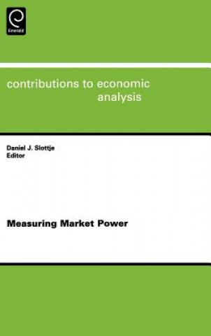 Kniha Measuring Market Power Daniel Slottje