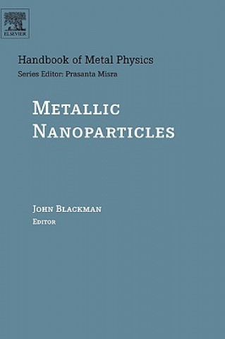 Kniha Metallic Nanoparticles John A. Blackman
