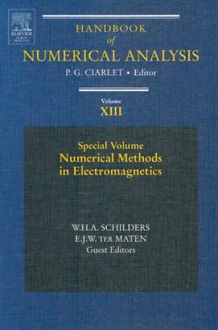 Kniha Numerical Methods in Electromagnetics W.H.A. Schilders