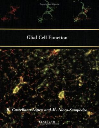 Książka Glial Cell Function (Paperback) B. Castellano Lopez