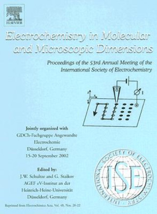 Kniha Electrochemistry in Molecular and Microscopic Dimensions Joachim W. Schultze