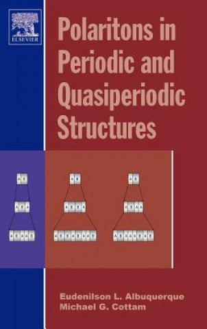 Carte Polaritons in Periodic and Quasiperiodic Structures Eudenilson Albuquerque