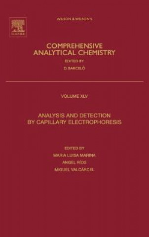 Kniha Analysis and Detection by Capillary Electrophoresis Miguel Valcarcel