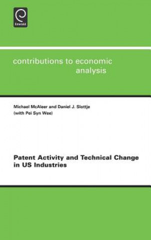 Kniha Patent Activity and Technical Change in US Industries M. McAleer