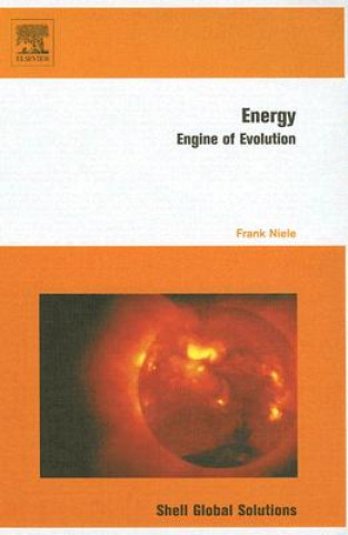 Book Energy Frank Niele