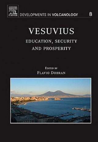 Βιβλίο Vesuvius Flavio Dobran