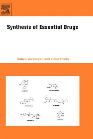 Kniha Synthesis of Essential Drugs Ruben Vardanyan