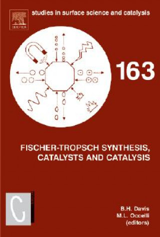 Książka Fischer-Tropsch Synthesis, Catalysts and Catalysis B. H. Davis