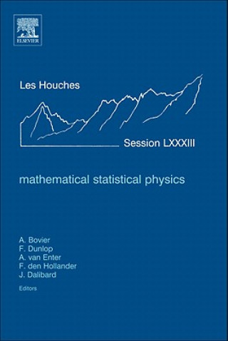 Libro Mathematical Statistical Physics Anton Bovier