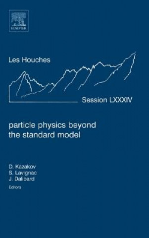 Kniha Particle Physics beyond the Standard Model Jean Dalibard