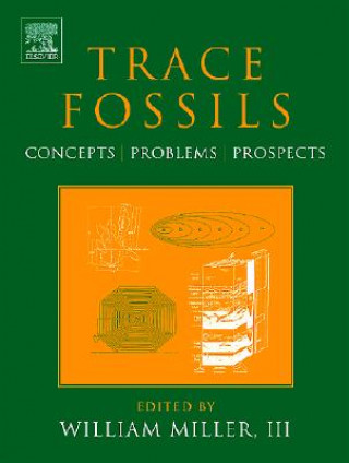 Knjiga Trace Fossils William Miller III