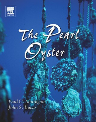 Kniha Pearl Oyster Paul Southgate