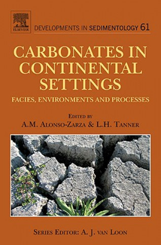 Könyv Carbonates in Continental Settings 