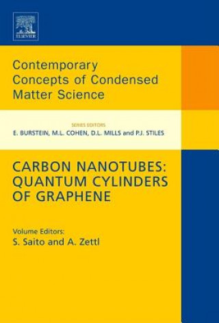 Livre Carbon Nanotubes: Quantum Cylinders of Graphene S. Saito