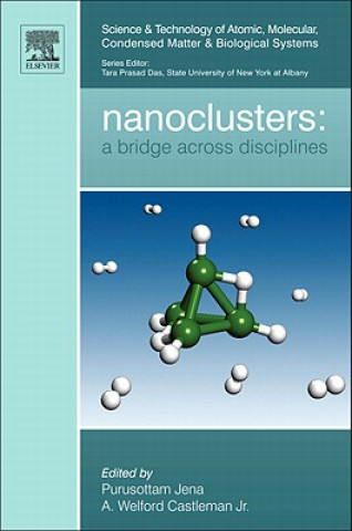 Knjiga Nanoclusters Purusottam Jena