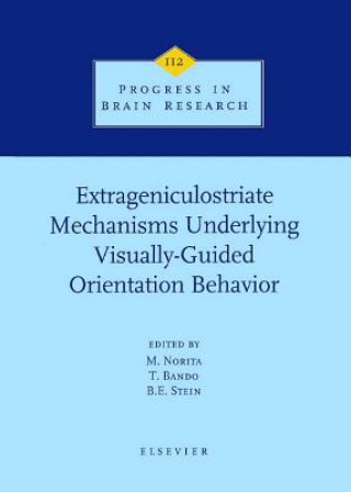 Книга Extrageniculostriate Mechanisms Underlying Visually-Guided Orientation Behavior M. Norita