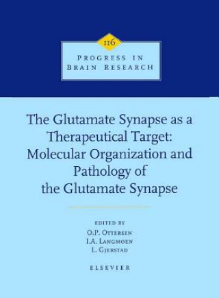 Książka Glutamate Synapse as a Therapeutic Target O. P. Ottersen