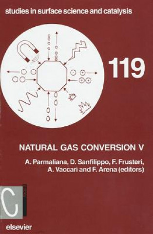 Knjiga Natural Gas Conversion V A. Parmaliana