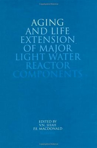 Könyv Aging and Life Extension of Major Light Water Reactor Components V. N. Shah