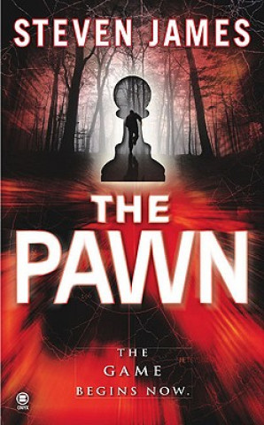 Kniha Pawn Steven James