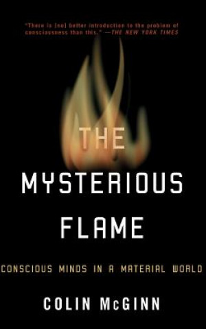 Kniha Mysterious Flame Colin McGinn
