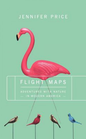 Kniha Flight Maps Jennifer Price