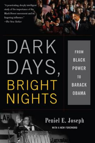 Kniha Dark Days, Bright Nights Peniel E. Joseph