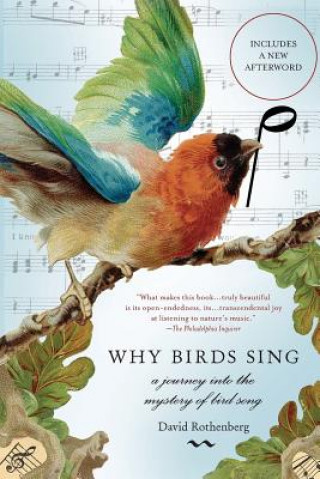 Book Why Birds Sing David Rothenberg