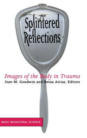Kniha Splintered Reflections Jean Goodwin