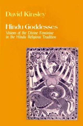 Kniha Hindu Goddesses David R. Kinsley