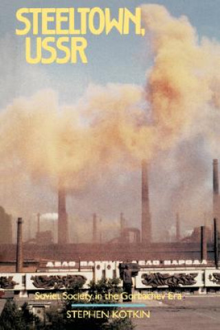 Livre Steeltown U. S. S. R. Stephen Kotkin