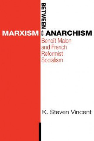 Carte Between Marxism and Anarchism K. Steven Vincent