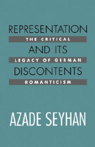 Kniha Representation and Its Discontents Azade Seyhan