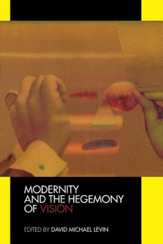 Книга Modernity and the Hegemony of Vision David Michael Levin