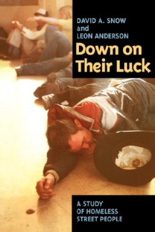 Kniha Down on Their Luck David A. Snow