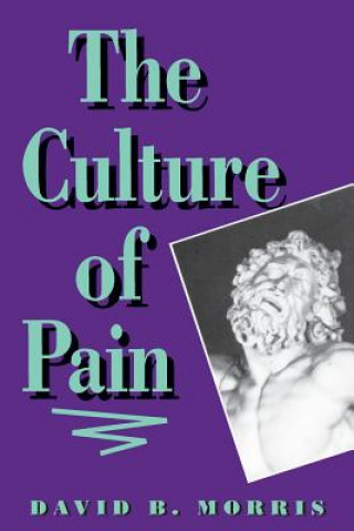 Könyv Culture of Pain David B. Morris