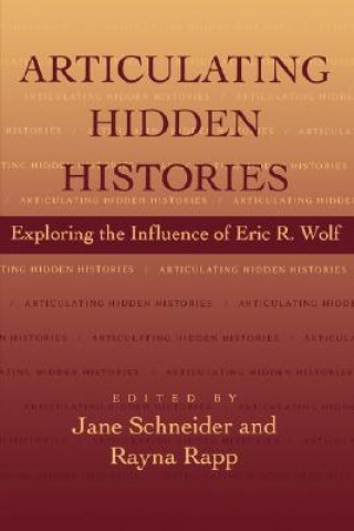 Kniha Articulating Hidden Histories Jane Schneider